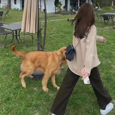 胖小子统治世界